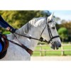 FreeJump Collar