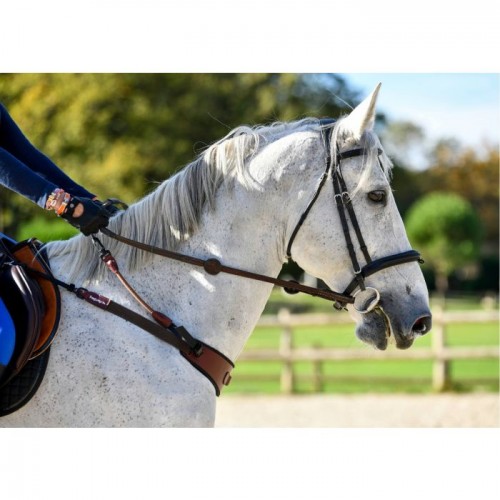 FreeJump Collar