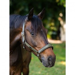 Equestrian Stockholm FW'24 Striking Valley Glimmer Anatomic Leren Halter