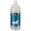 Synovium Ginger MSM