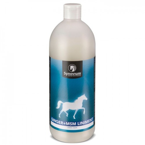 Synovium Ginger MSM