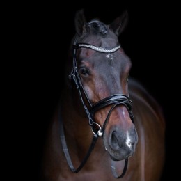 Imperial Riding English Bridle