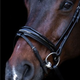 Imperial Riding English Bridle