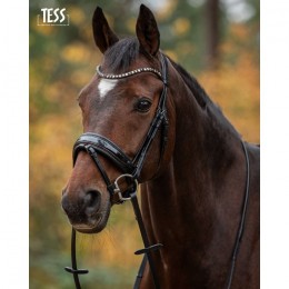 Tess Bridle Special Deluxe