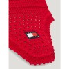 Tommy Hilfiger Earnet Lexington