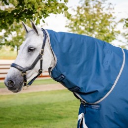 Horseware Ionic Therapy Turnout Hood