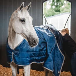 Horseware Ionic Therapy Stable 50g