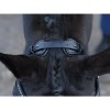 Busse Bridle Emotion