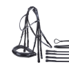 Busse Double Bridle Flying Change