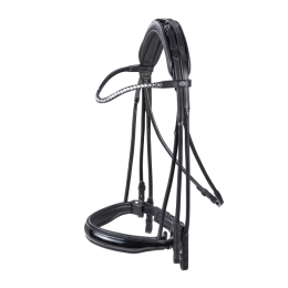 Buses Double bridle headstock Passage Line RP