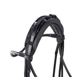 Buses Double bridle headstock Passage Line RP