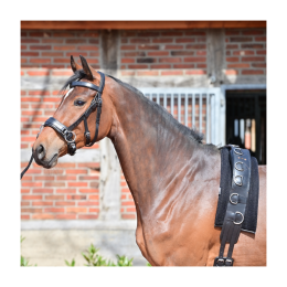 Busse Lunge girth pad 3D Air Effect