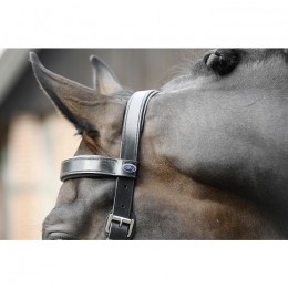 Busse cavesson Fit Pro