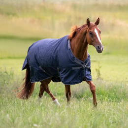 Busse Outdoor rug Flexible Pro 100