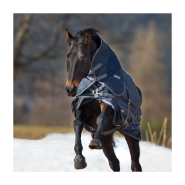 Busse Outdoor rug Flexible Pro 250
