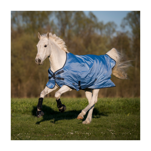 Busse Outdoor rug Windchill 00