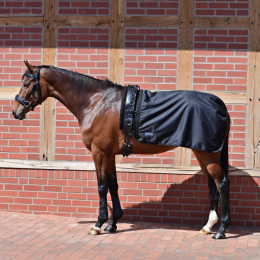 Busse Lunging Rug Rain 50