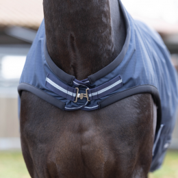 Busse walker rug Rain Comfort 50