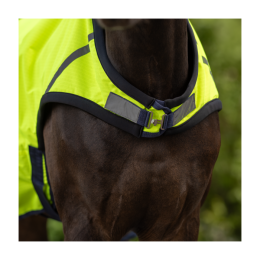 Busse Step Mill Blanket Shine 50