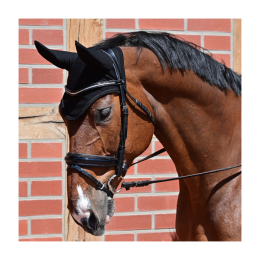 Busse Earnet Fly-Air