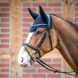 Busse Earnet Fly-Air