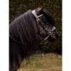 Nalanta Bitless Bridle