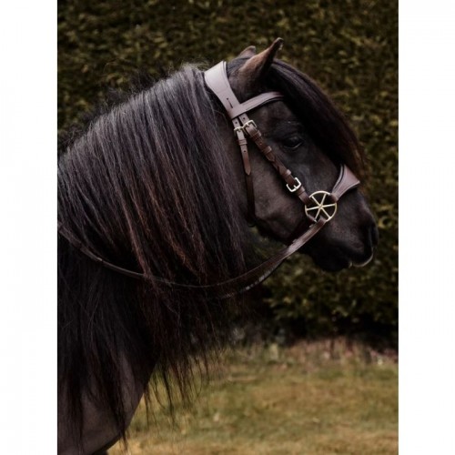 Nalanta Bitless Bridle