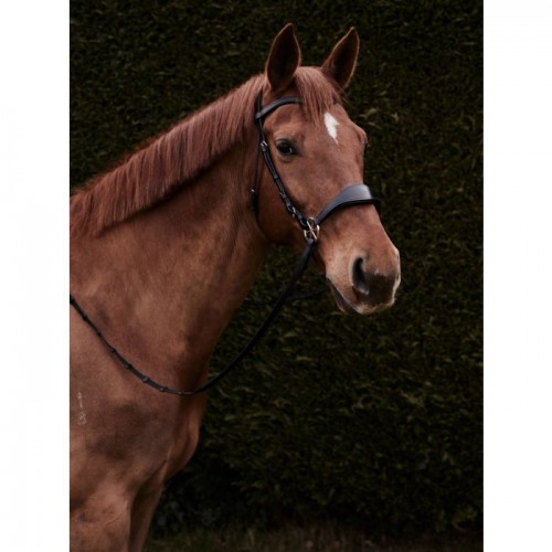 Nalanta Bitless Bridle