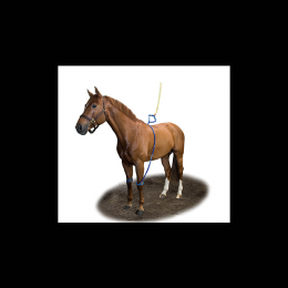 Equine Legcooler Base Plus