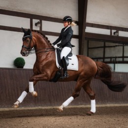 Equestrian Stockholm FW'24 Timeless White Glimmer Dressage saddlepad