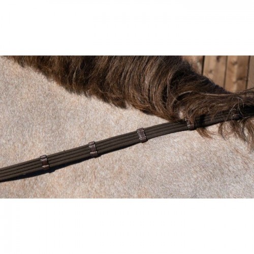 Dyon 5/8" Web Reins With 9 Leather Loops