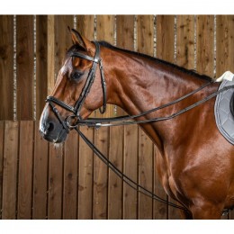 Dyon Full Leather Draw Reins 1/2 Working Collection