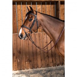 Dyon bridle Flash