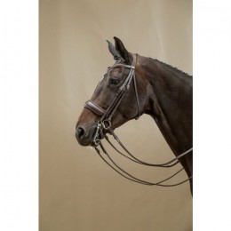 Dyon Double Bridle Matt noseband