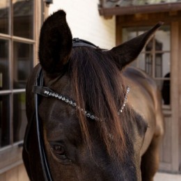 Dyon ComfoHead Bridle