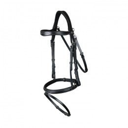 Dyon Flash Noseband Bridle with Snap Hooks Working Collection