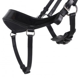 QHP Bridle Era