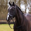 QHP Bridle Era