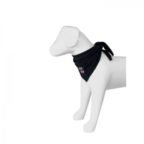 Spooks Dog Bandana