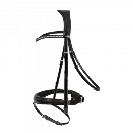 Passier Atlas bridle with large noseband