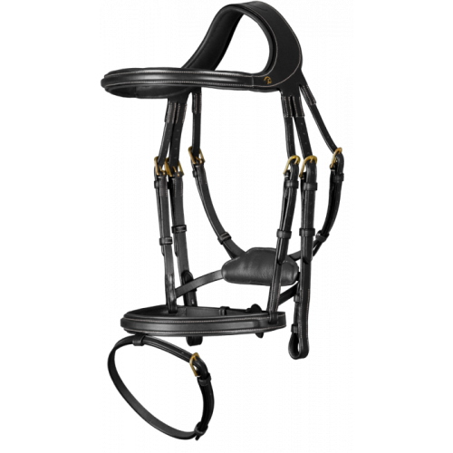 Dyon Bridle Difference