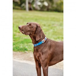 Weatherbeeta Dog Collar Elegance