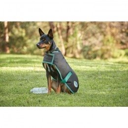 Weatherbeeta Green-Tec 900D Lite Plus Dog Coat