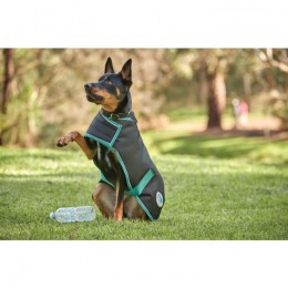 Weatherbeeta Green-Tec 900D Medium Dog Coat