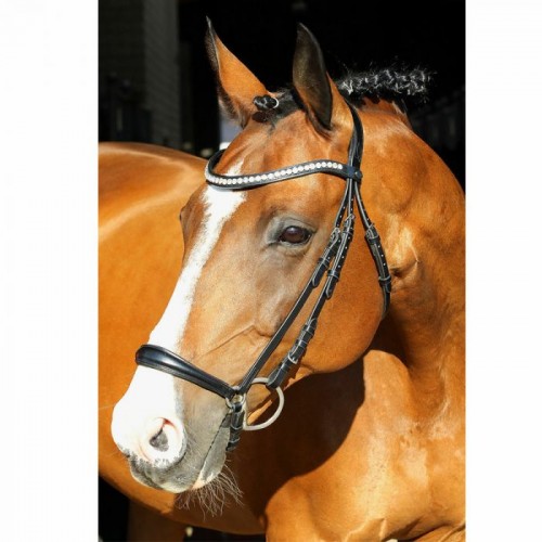 Euroriding La Rochelle bridle with Hanoverian noseband