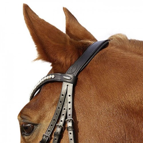 Euroriding La Rochelle bridle with Hanoverian noseband