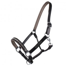 QHP Leather Halter Lupine