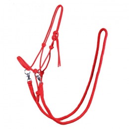 QHP rope halter with rein