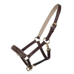 QHP Head collar foal leather Lupine