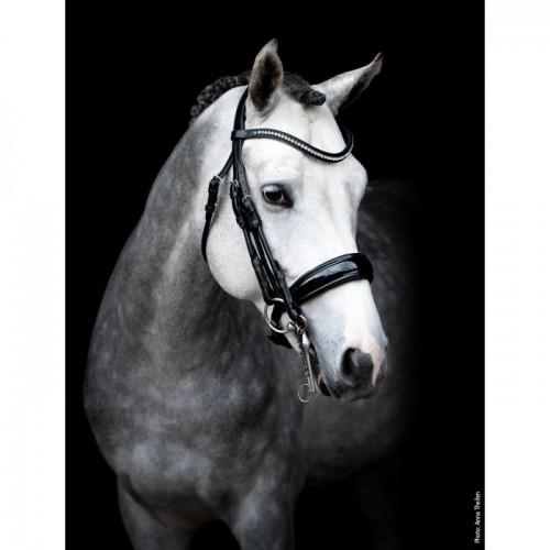 Schockemöhle Double Bridle Venice